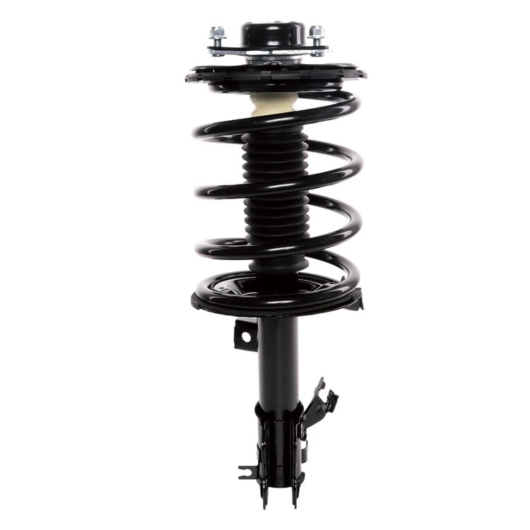 Strut Assembly