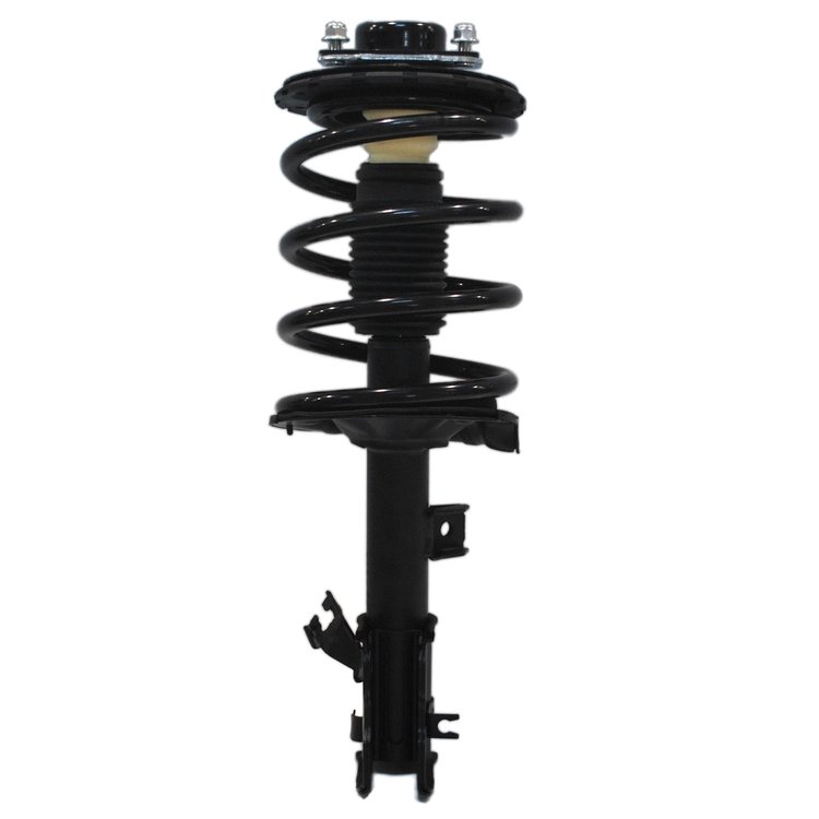 Strut Assembly