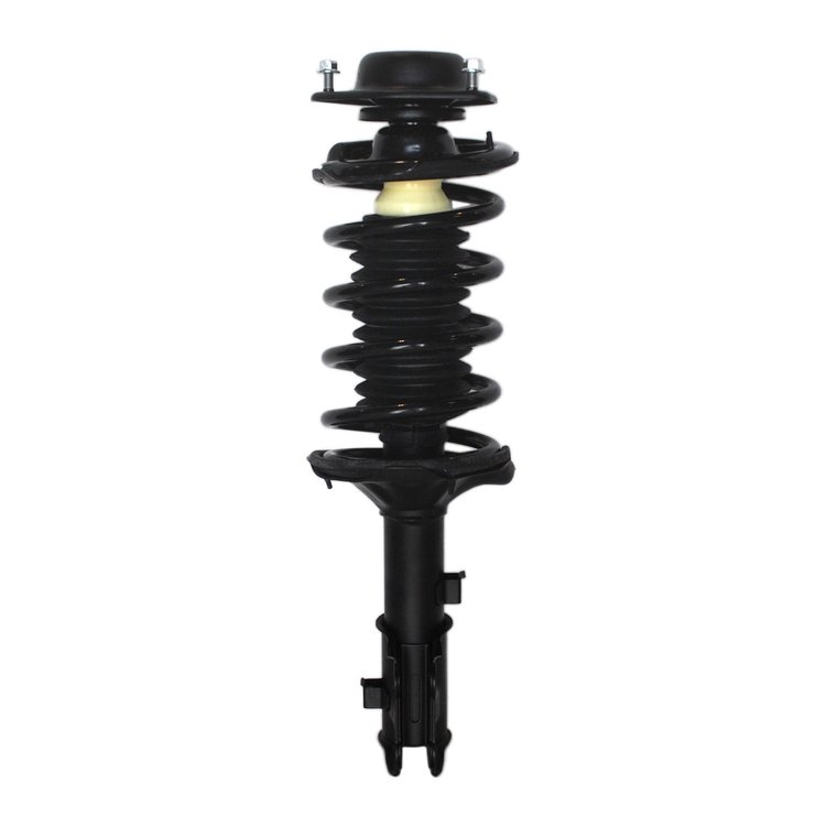Strut Assembly
