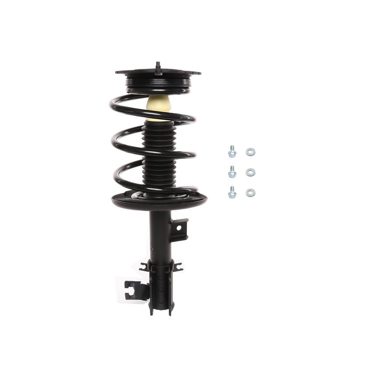 Strut Assembly