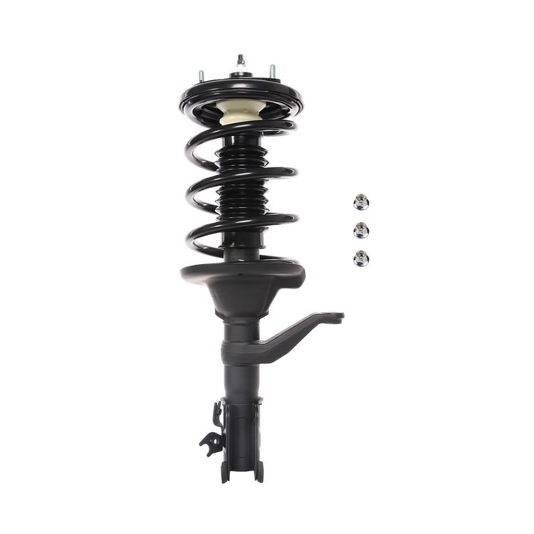 Strut Assembly