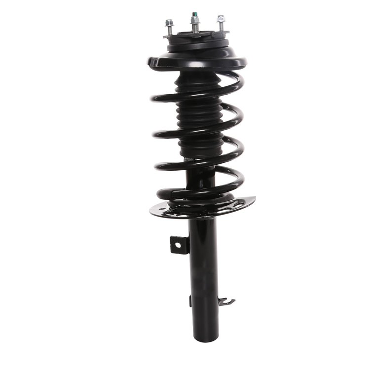Strut Assembly