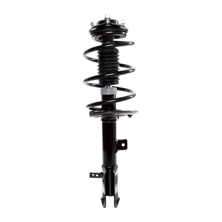 Strut Assembly