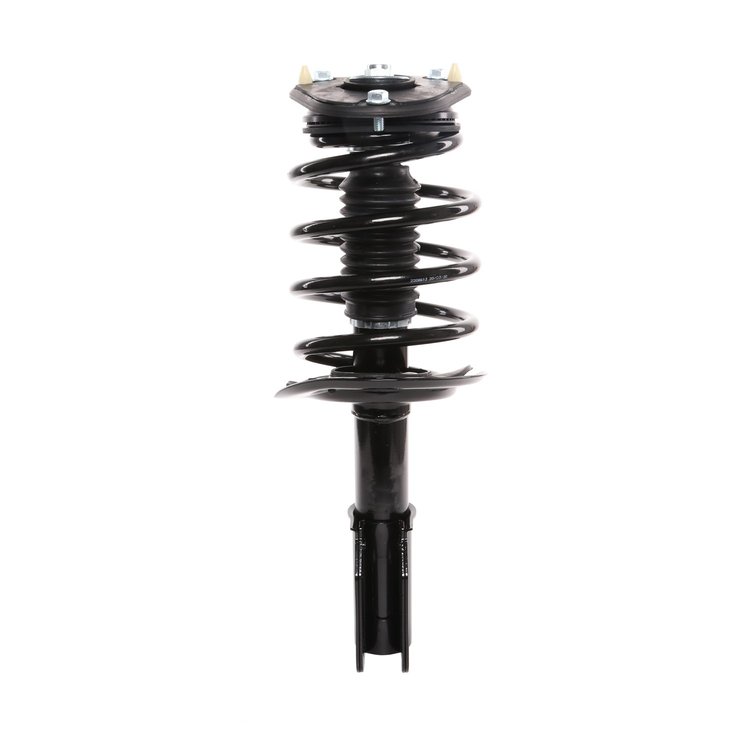 Strut Assembly