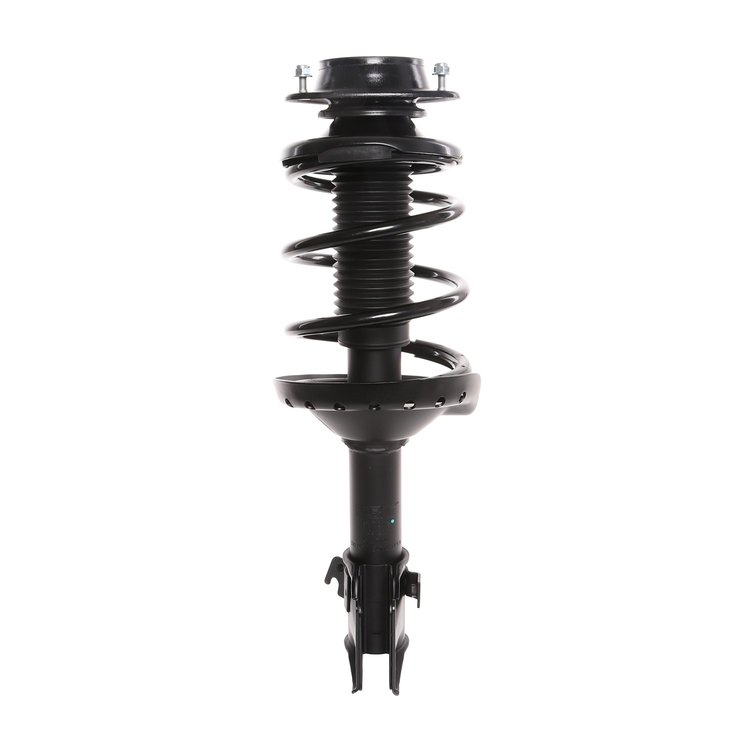 Strut Assembly