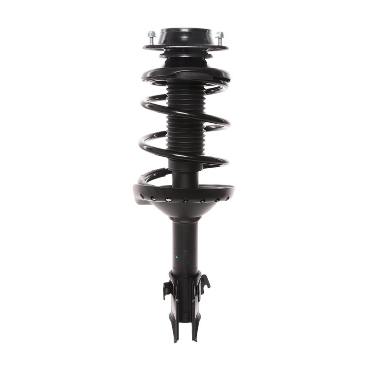 Strut Assembly
