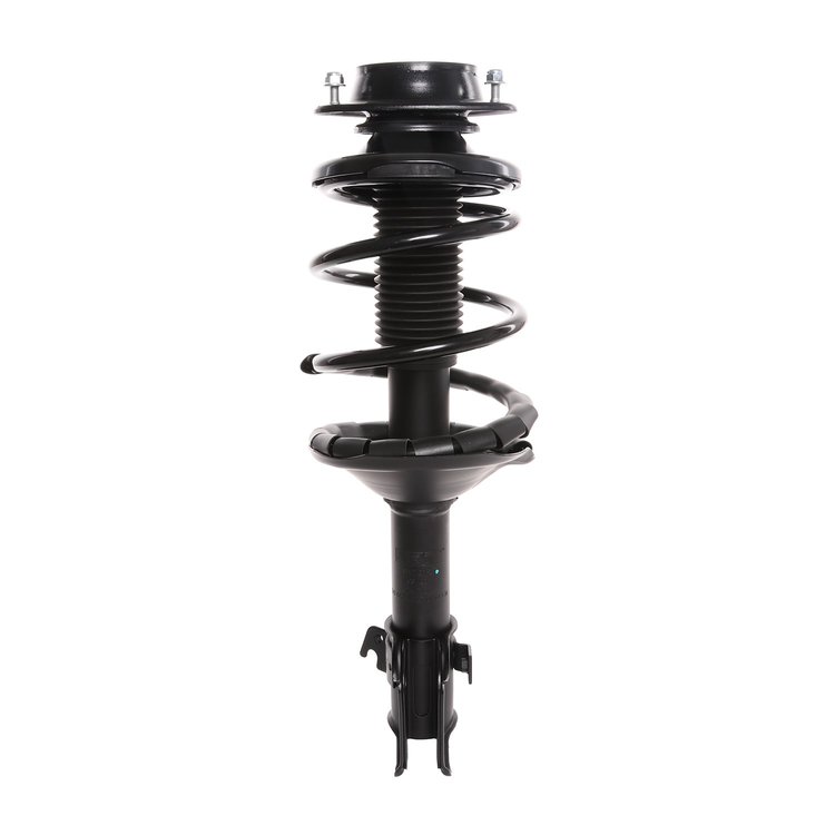 Strut Assembly