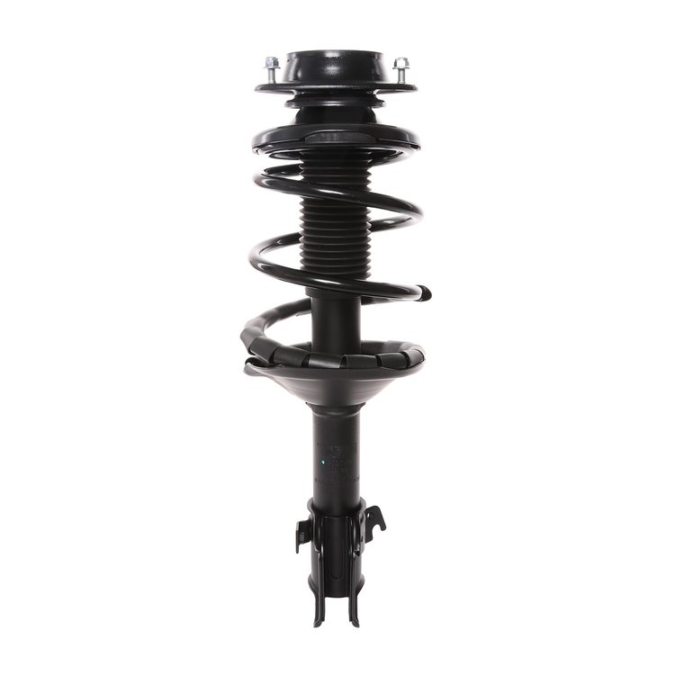 Strut Assembly