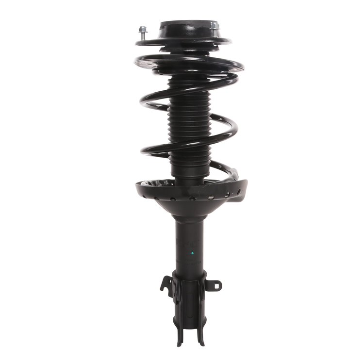 Strut Assembly