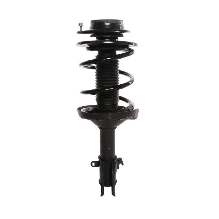 Strut Assembly