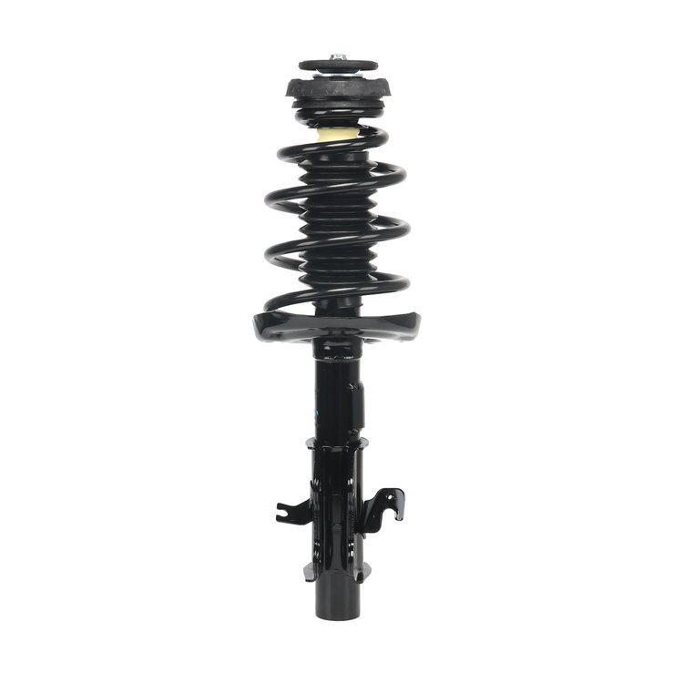 Strut Assembly