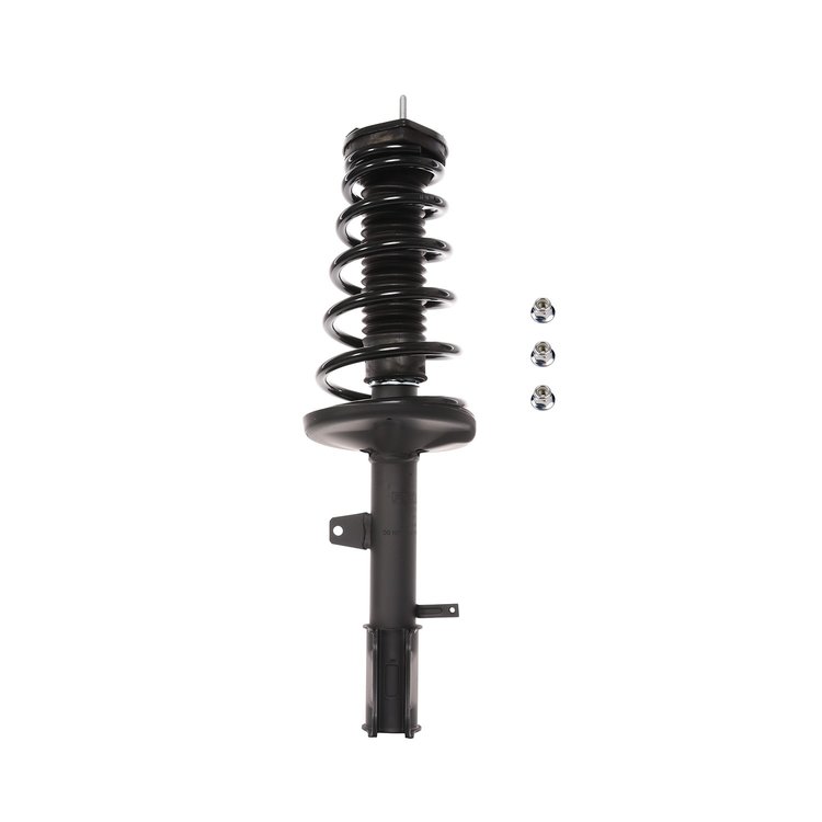 Strut Assembly