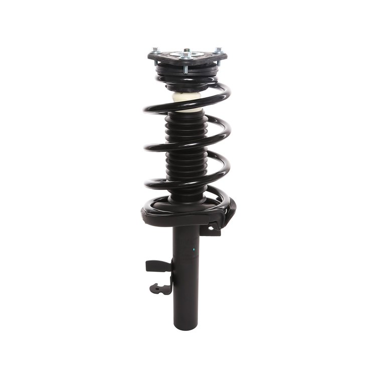 Strut Assembly