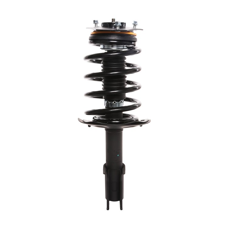 Strut Assembly