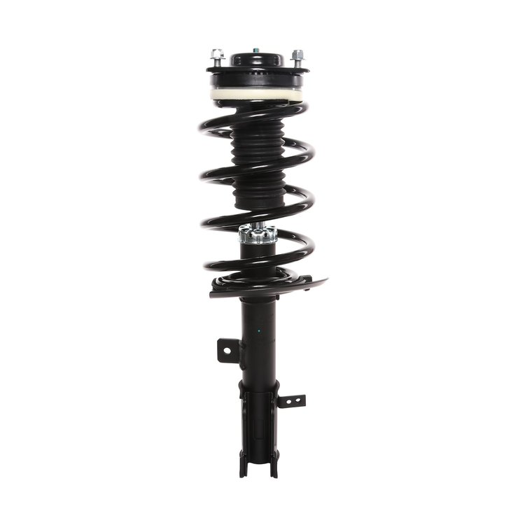 Strut Assembly