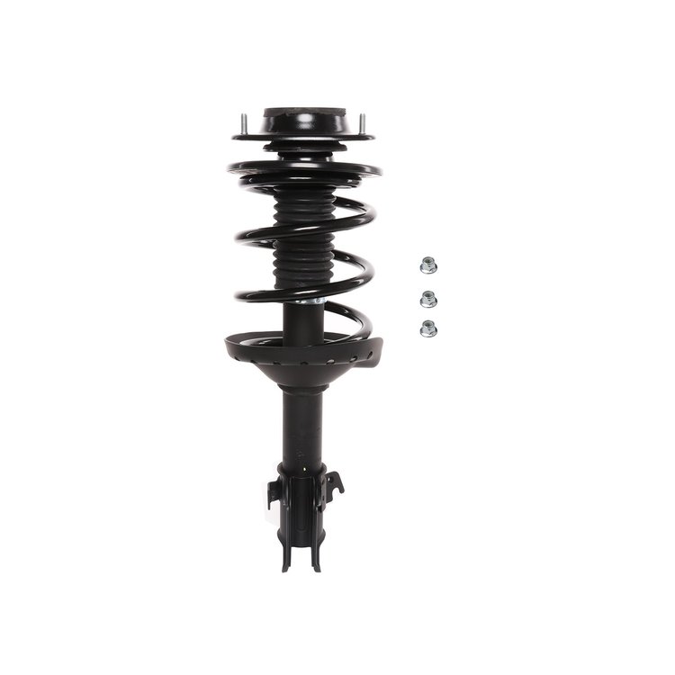 Strut Assembly