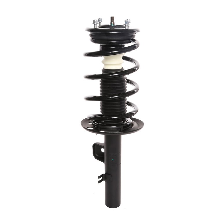 Strut Assembly