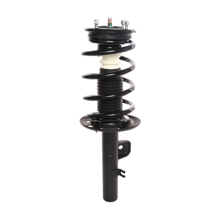 Strut Assembly