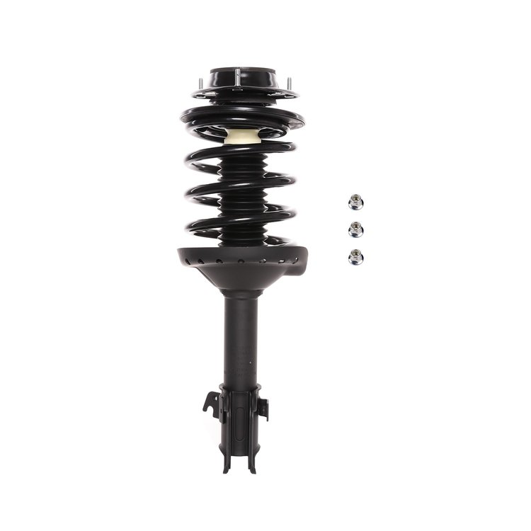 Strut Assembly