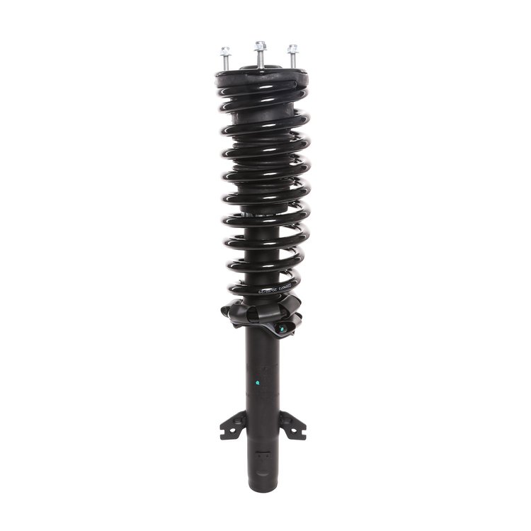 Strut Assembly
