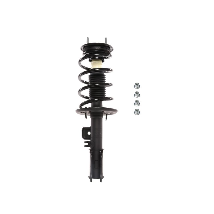 Strut Assembly