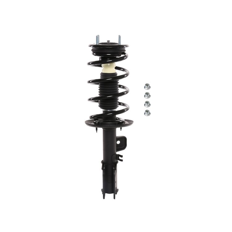 Strut Assembly