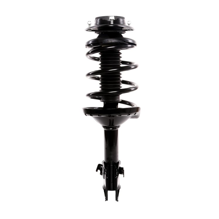 Strut Assembly