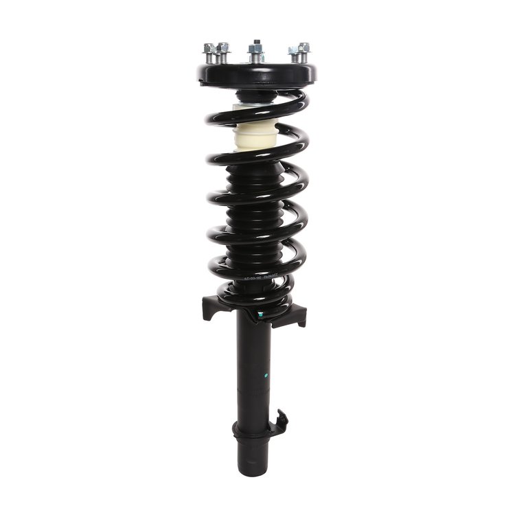 Strut Assembly