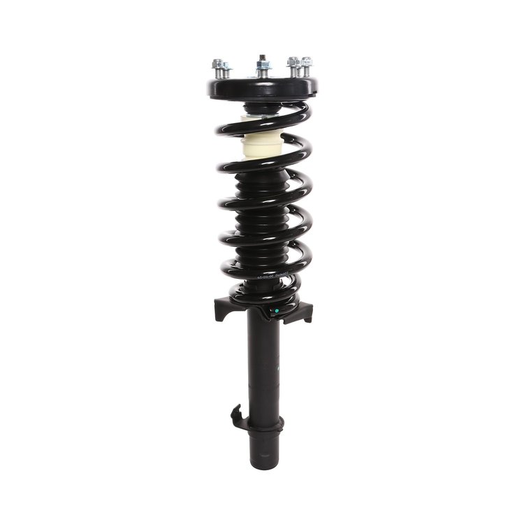 Strut Assembly