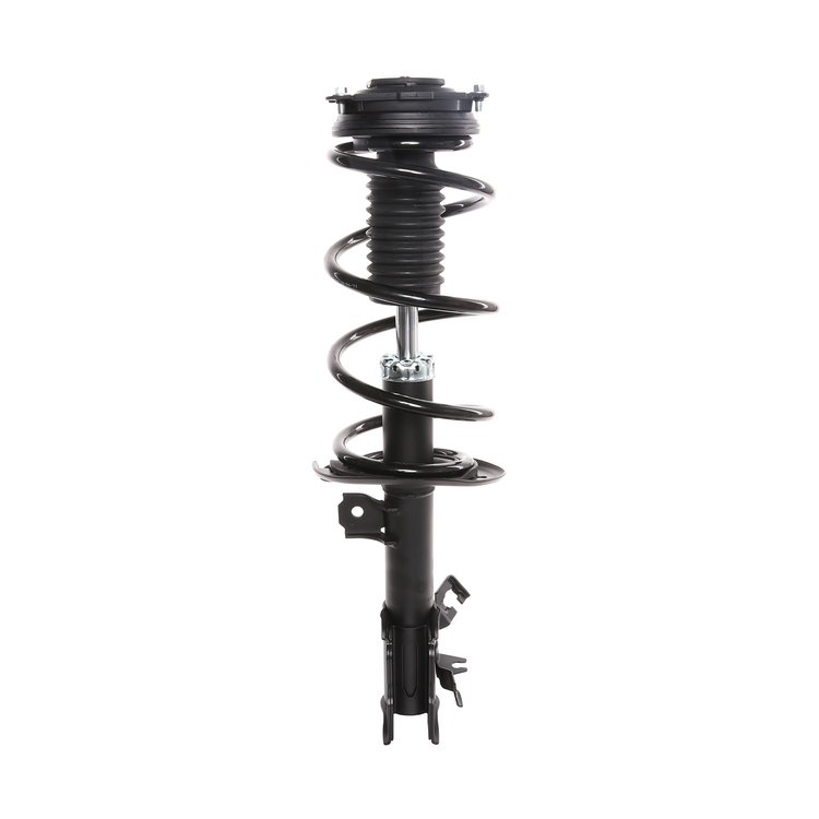 Strut Assembly