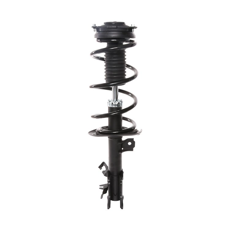 Strut Assembly