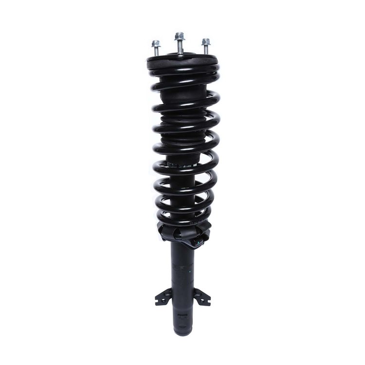 Strut Assembly