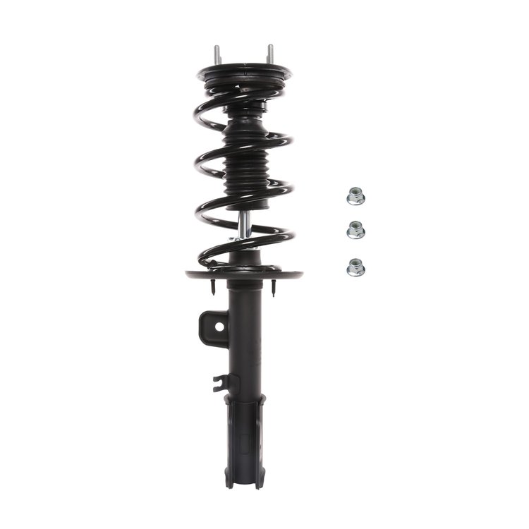 Strut Assembly