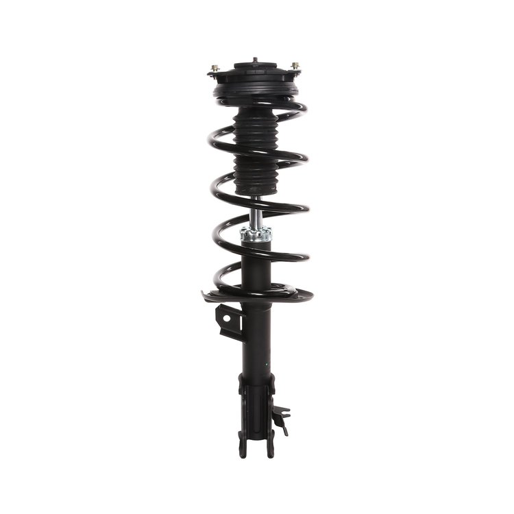 Strut Assembly