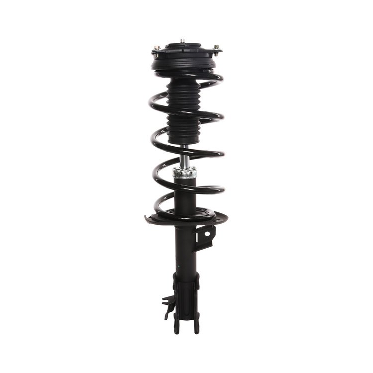 Strut Assembly