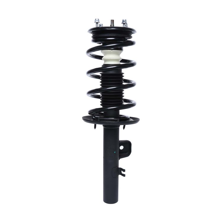 Strut Assembly