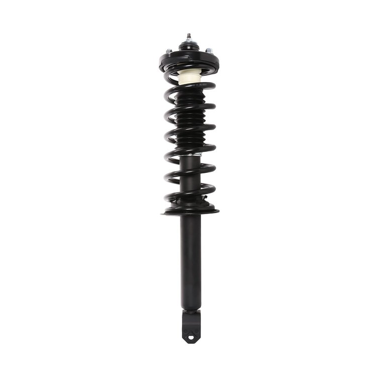 Strut Assembly