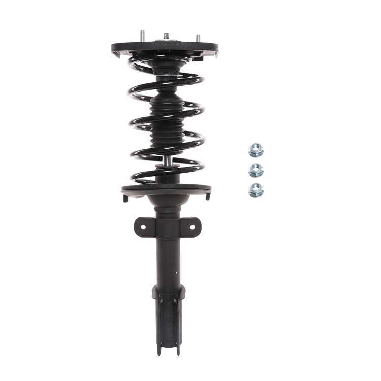 Strut Assembly