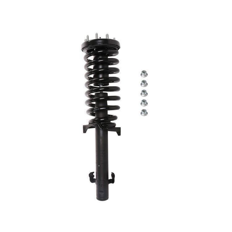 Strut Assembly