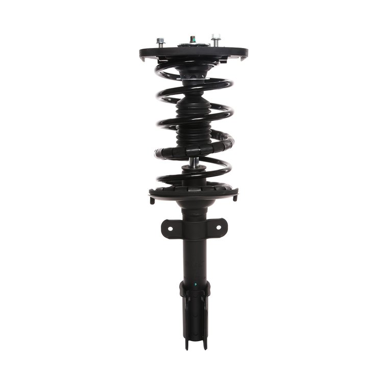 Strut Assembly