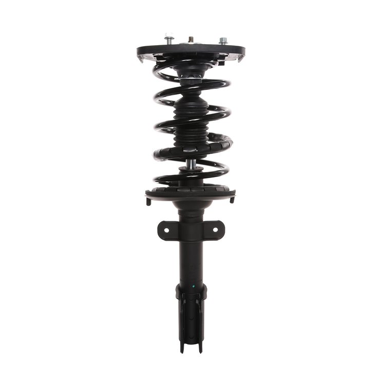 Strut Assembly