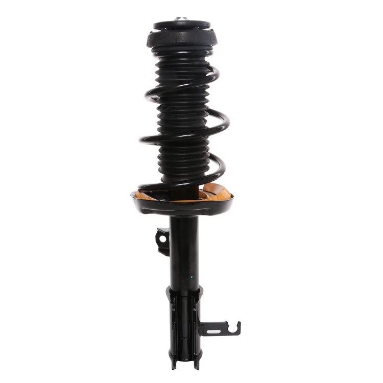 Strut Assembly