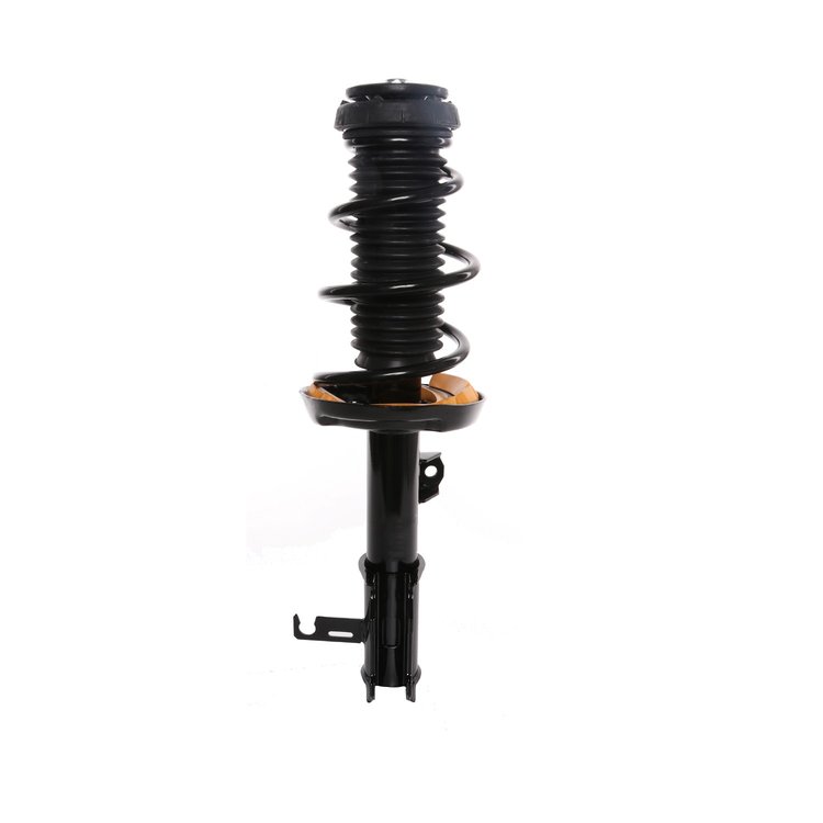 Strut Assembly