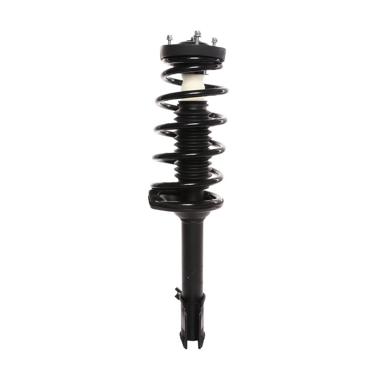 Strut Assembly