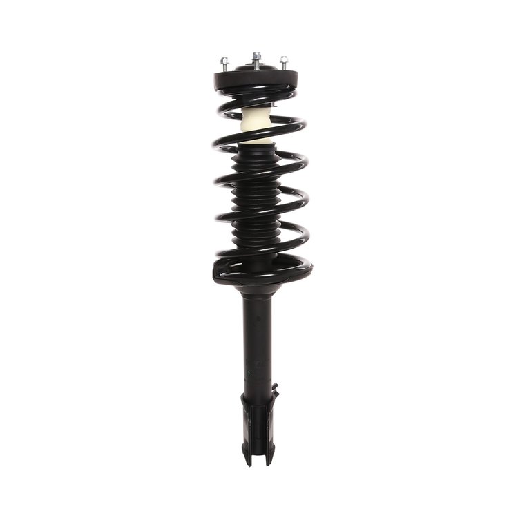 Strut Assembly
