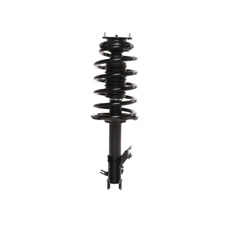Strut Assembly