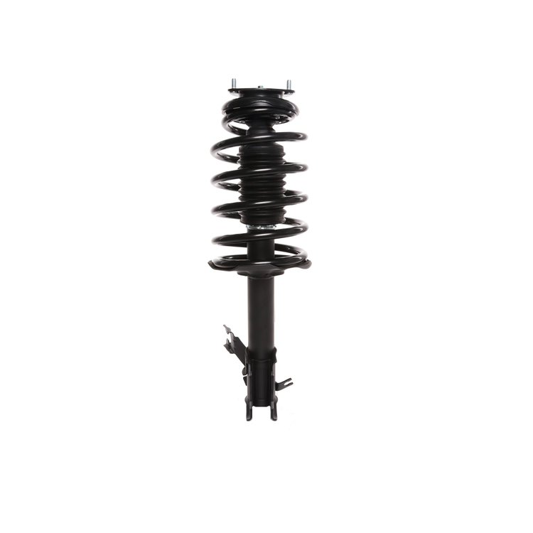 Strut Assembly