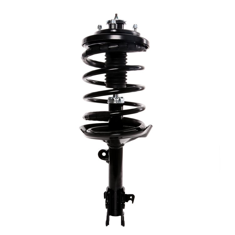 Strut Assembly