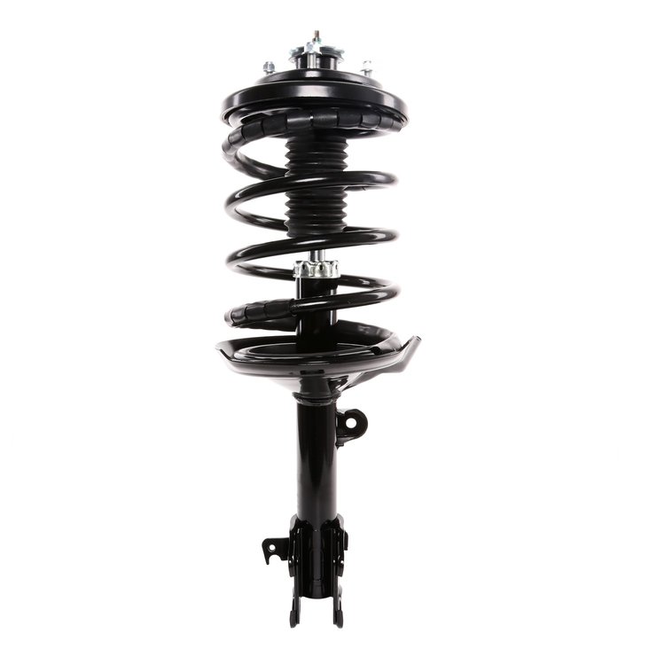 Strut Assembly