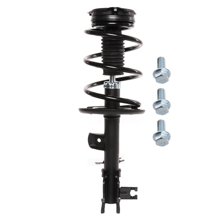 Strut Assembly